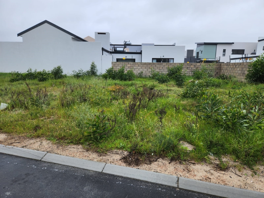 0 Bedroom Property for Sale in Sandown Western Cape